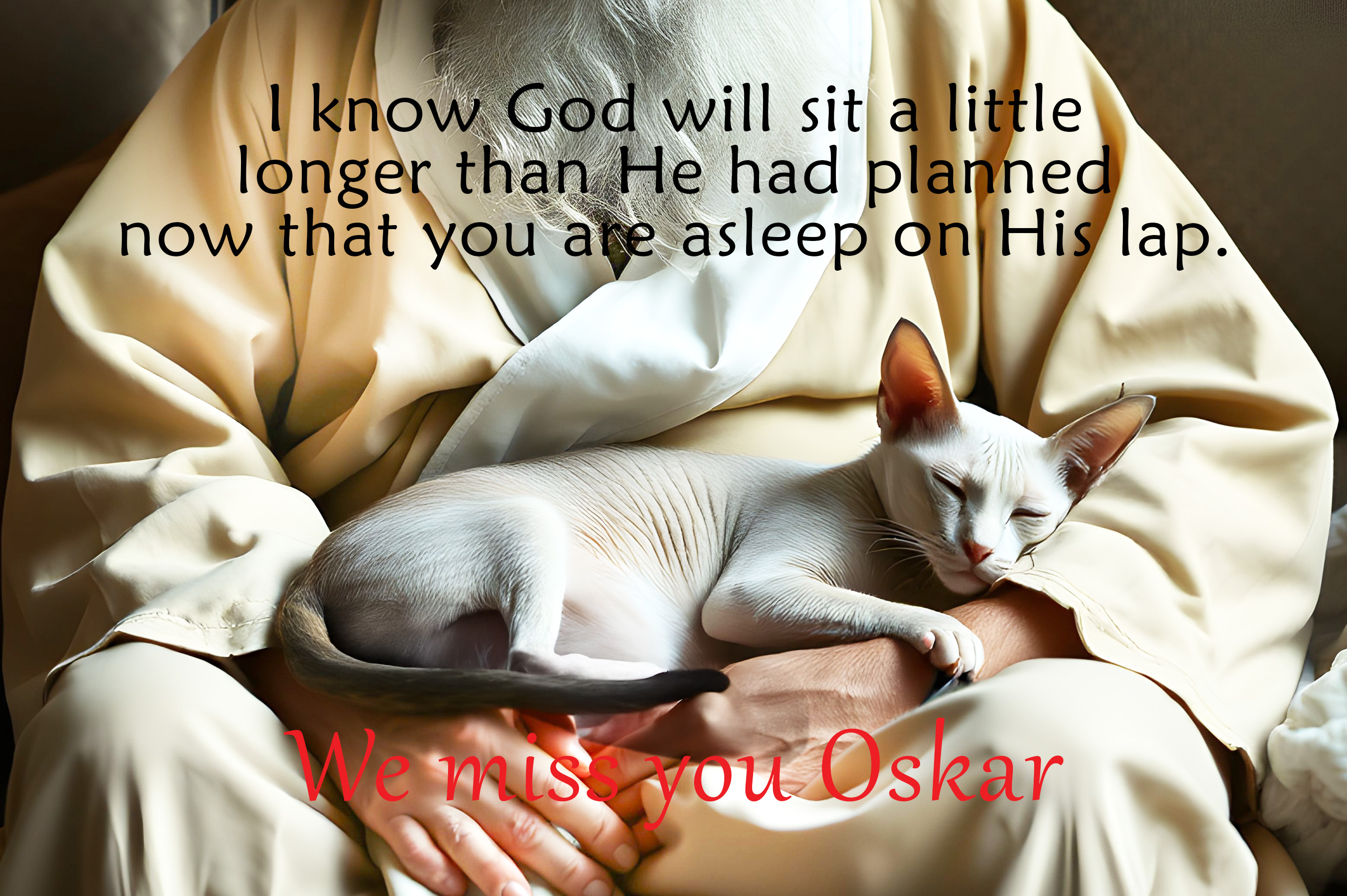 In God's Lap Sphynx Aluminum Print